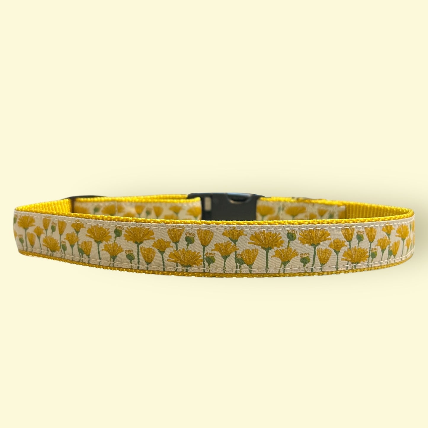 Dandelions in Bloom Large Dog Collar
