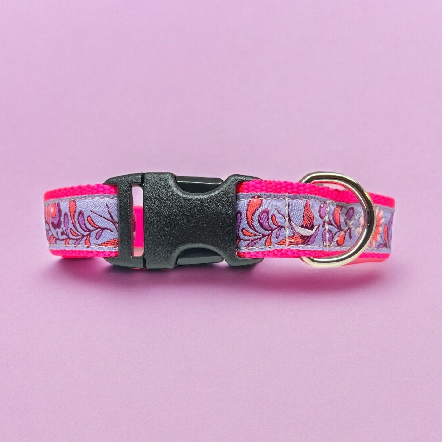 Humingbirds Large Dog Collar