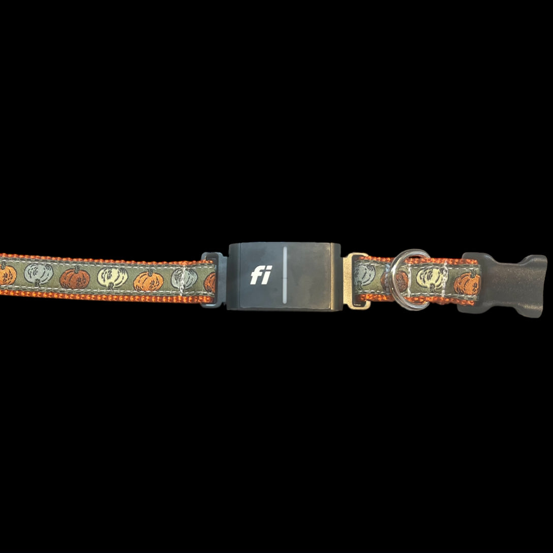 Seasonal Fi Series 3/3+ Compatible Small & Medium Dog Collar 3/4”