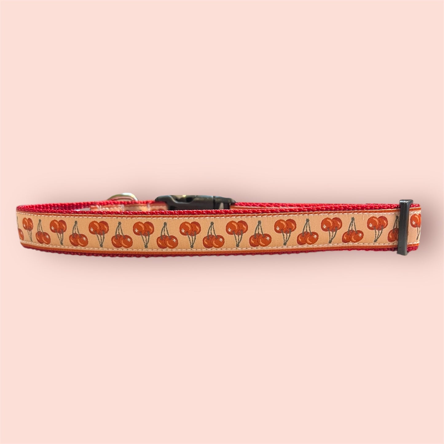 Fi Series 3/3+ Compatible Large Dog Collar 1”