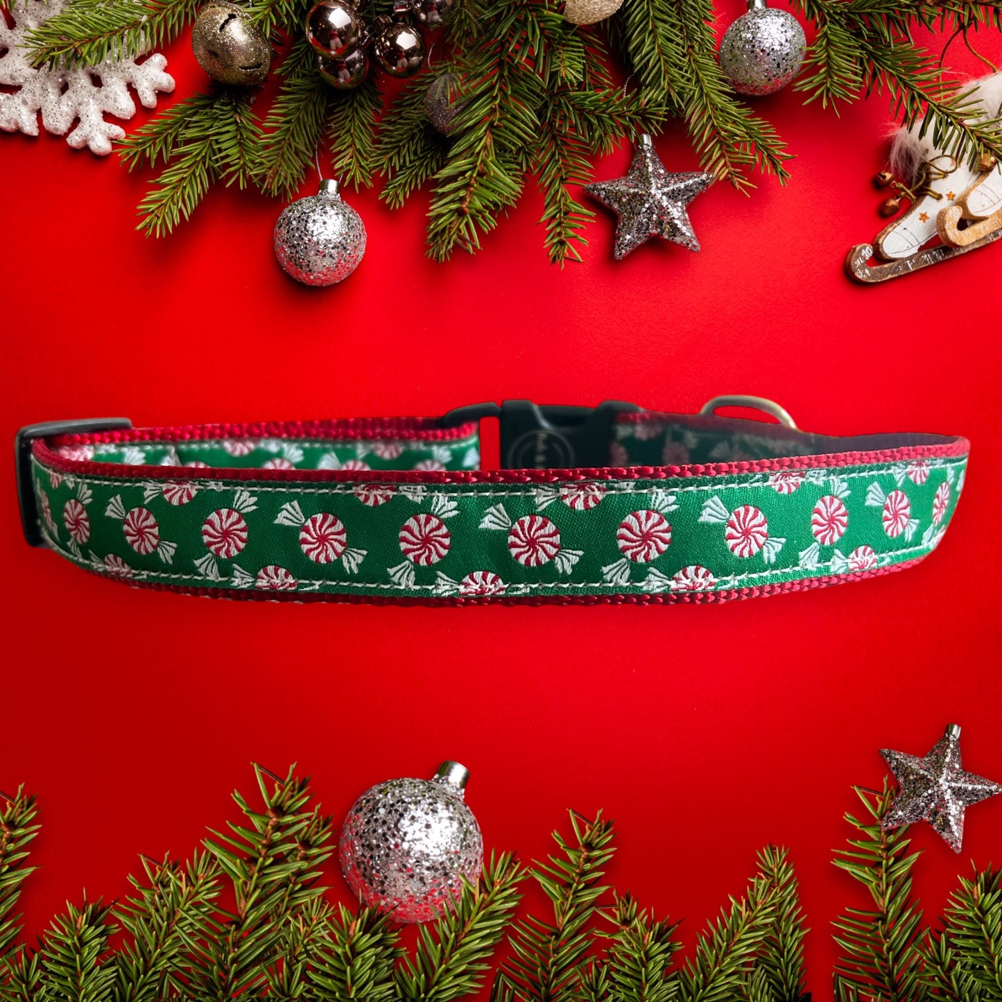Seasonal Fi Series 3/3+ Compatible Large Dog Collar 1”