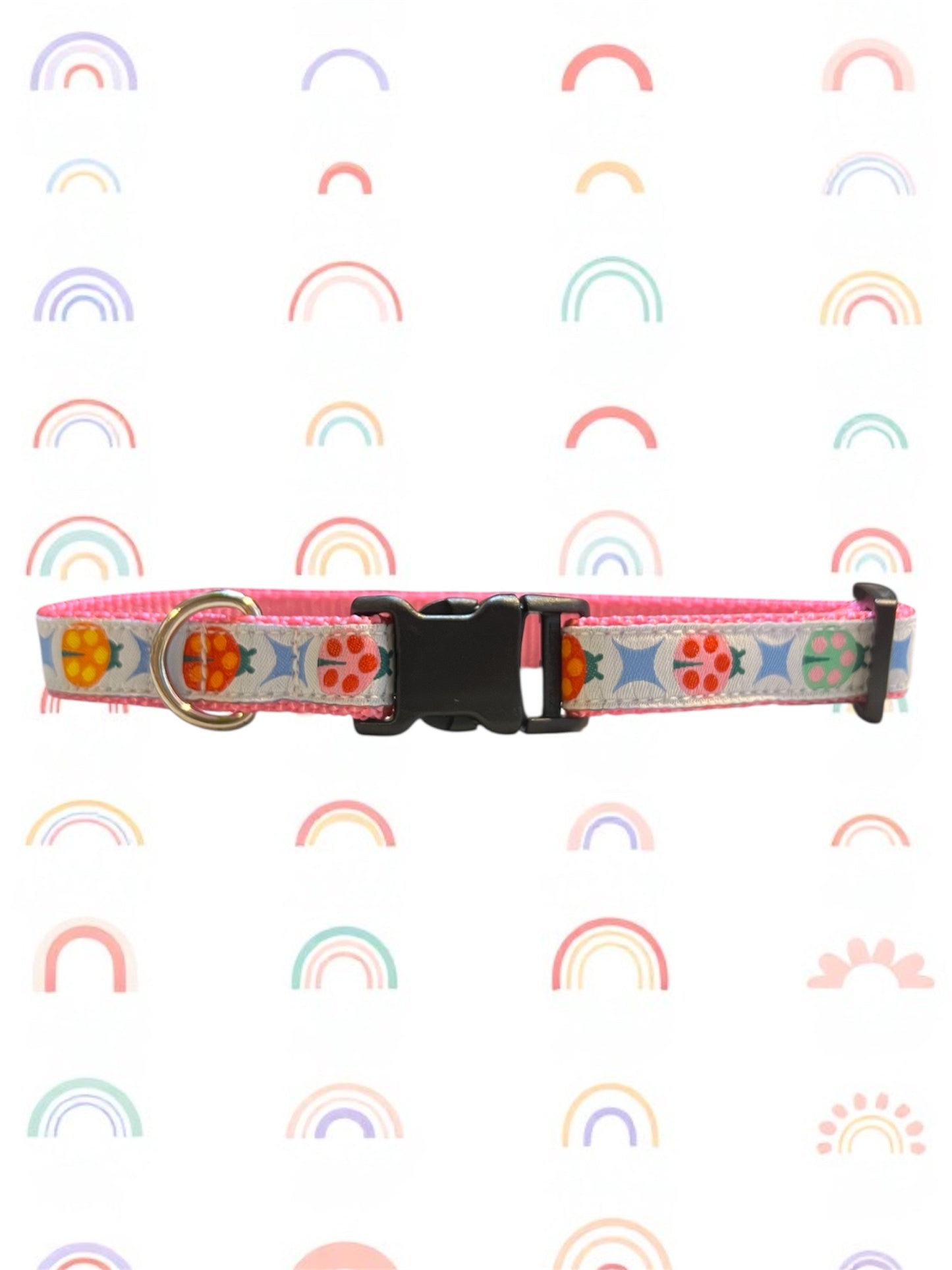Rainbow ladybug S/M