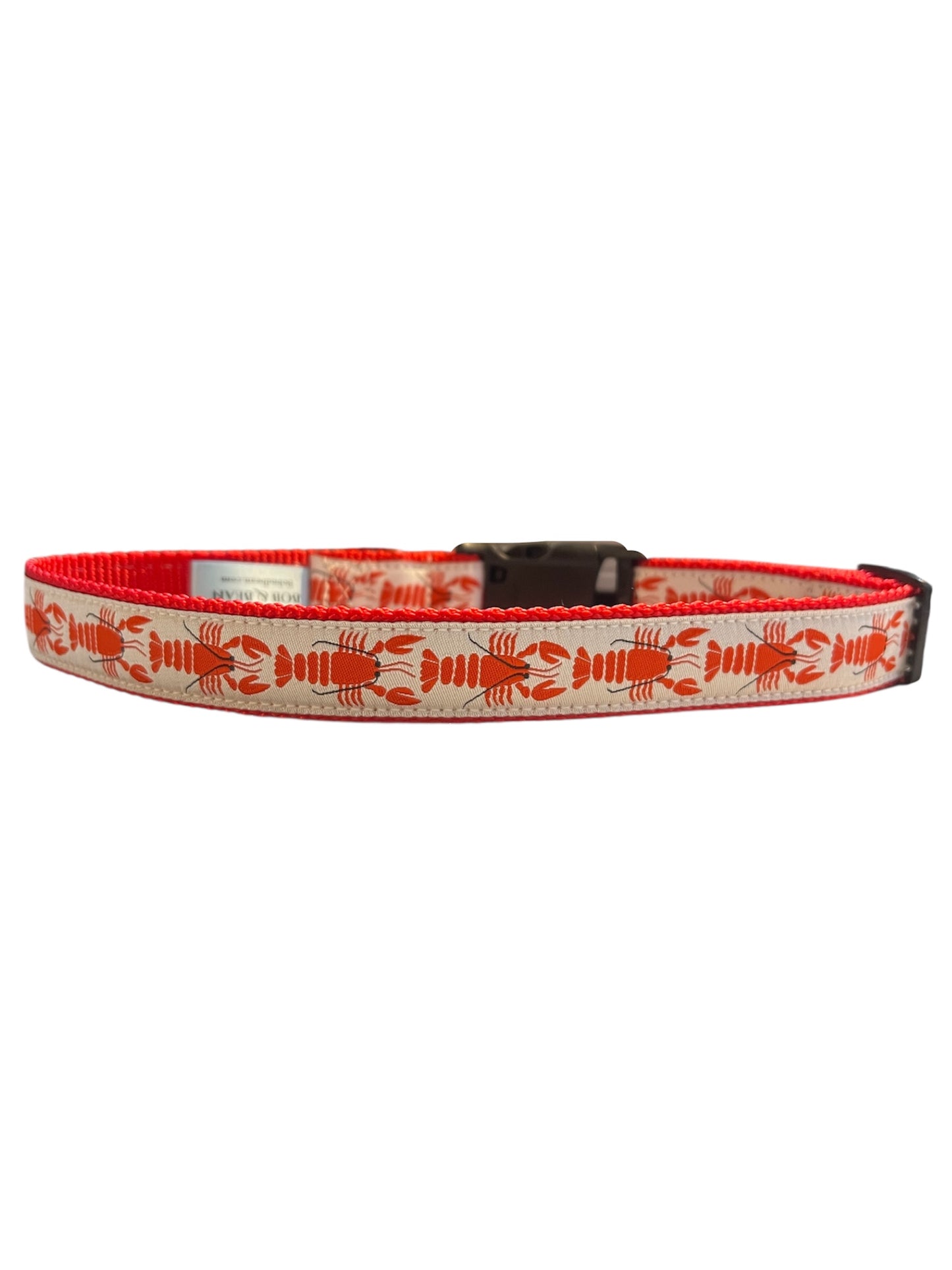 Fi Series 3/3+ Compatible Large Dog Collar 1”