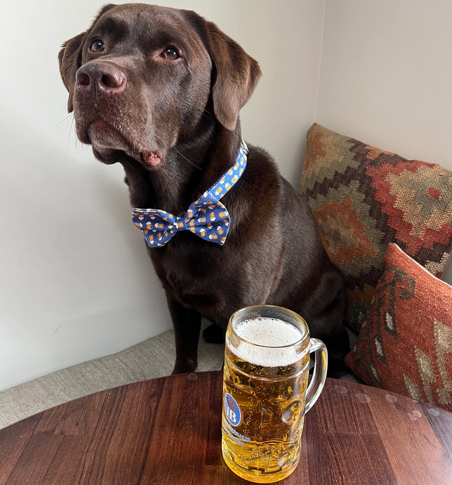 Bob & Bean X Zippy Pets Beer Collar Large