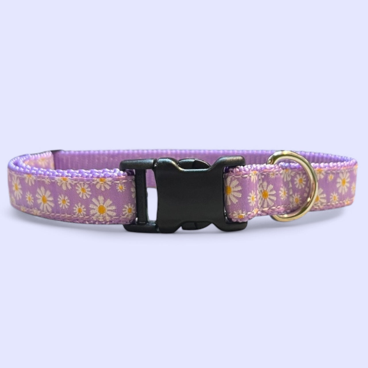 Daisy Collar S/M