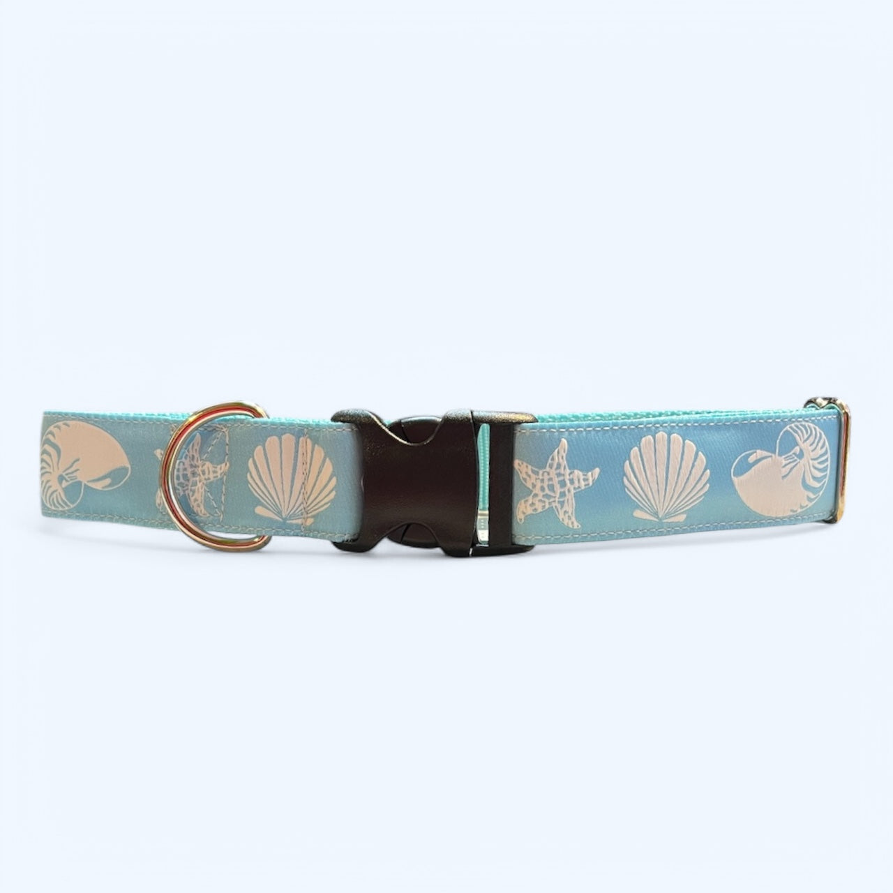 Sea Shells X-Large Dog Collar