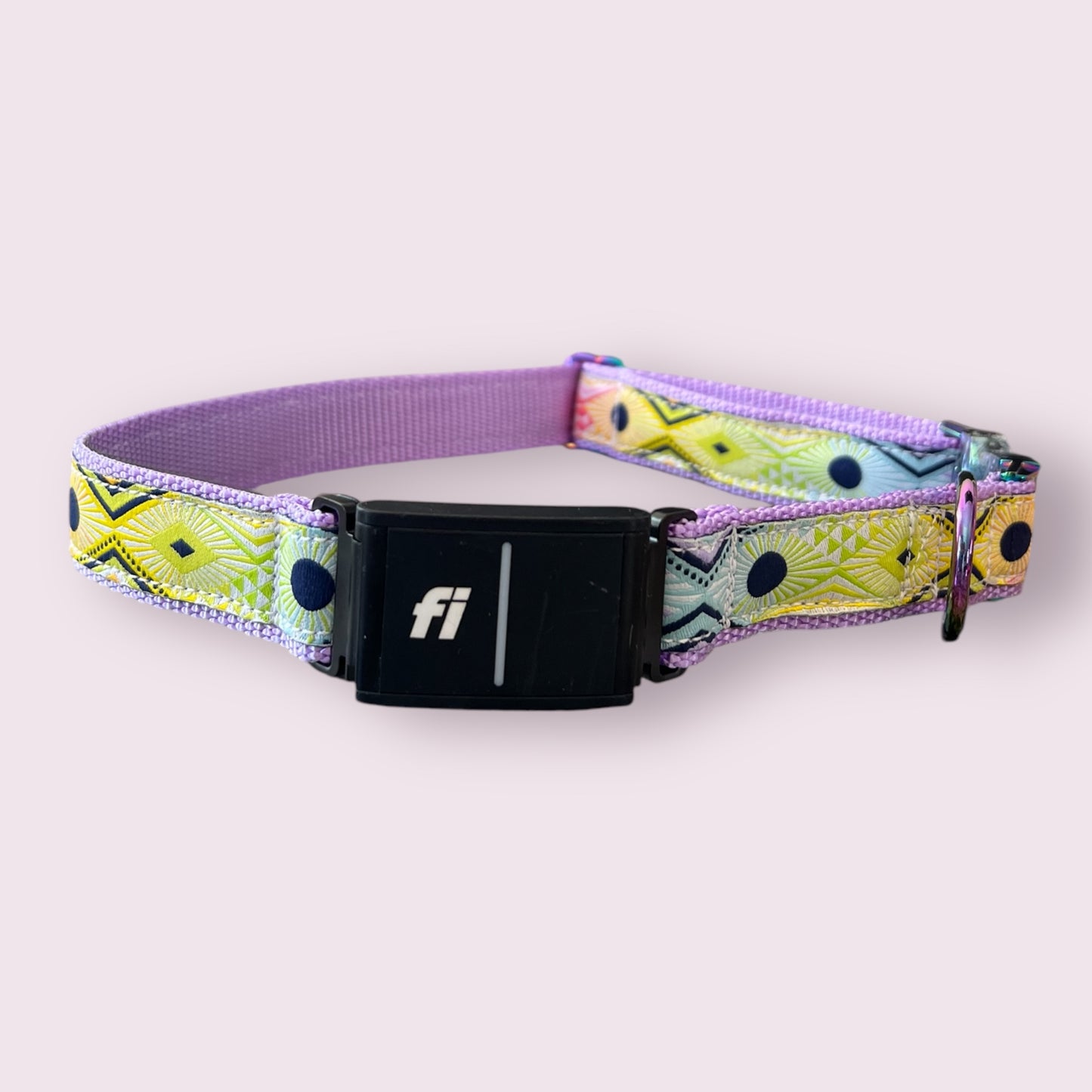 Fi Series 3/3+ Compatible Large Dog Collar 1”