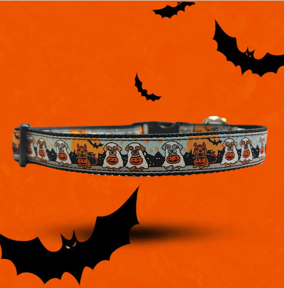 Seasonal Fi Series 3/3+ Compatible Small & Medium Dog Collar 3/4”