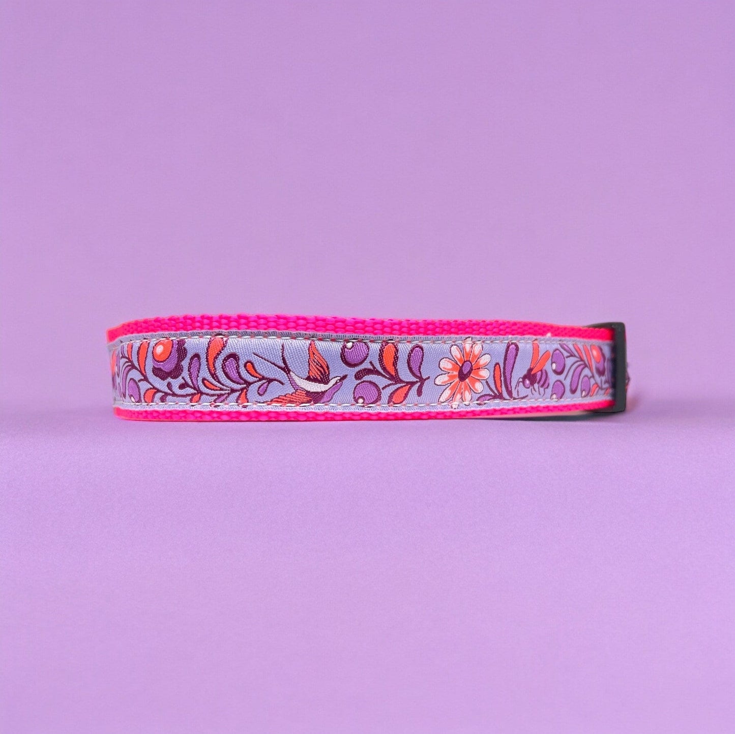 Humingbirds Large Dog Collar