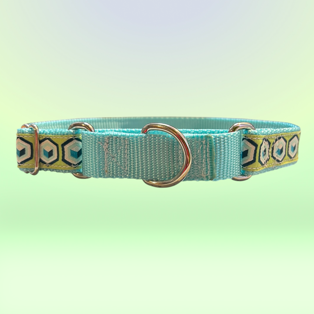 Geometric Martingale Large Dog Collar