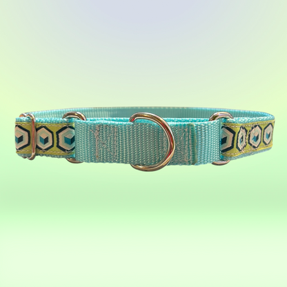 Geometric Martingale Large Dog Collar