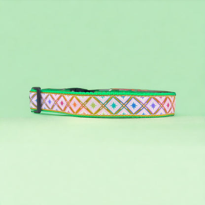 Rainbow Star Gazer L 1” Dog Collar