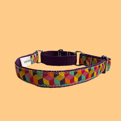 Tumbling Blocks Martingale Small/Medium Dog Collar