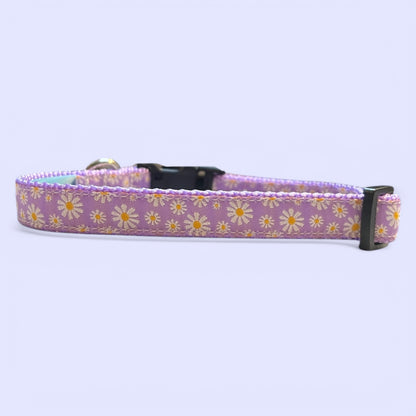 Daisy Collar S/M