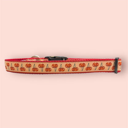 Fi Series 3/3+ Compatible Large Dog Collar 1”