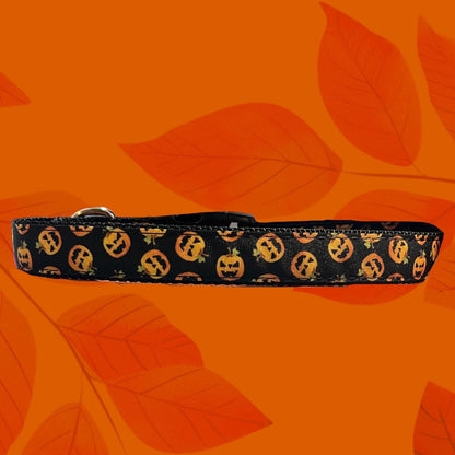 Seasonal Fi Series 3/3+ Compatible Small & Medium Dog Collar 3/4”