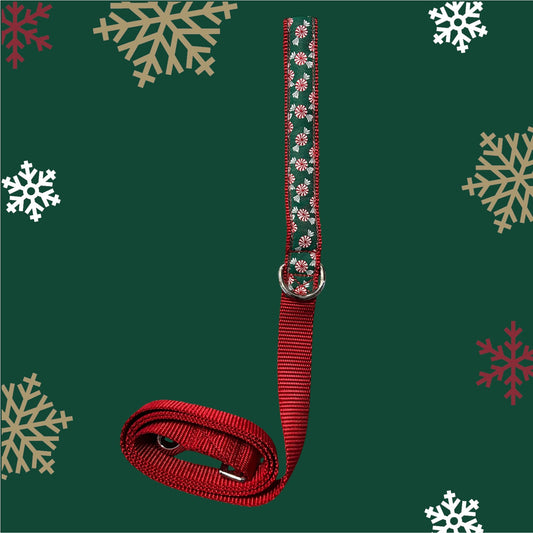 Peppermint Cheer Dog Leash