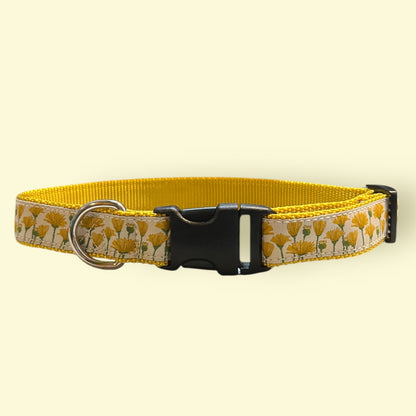 Dandelions in Bloom Large Dog Collar
