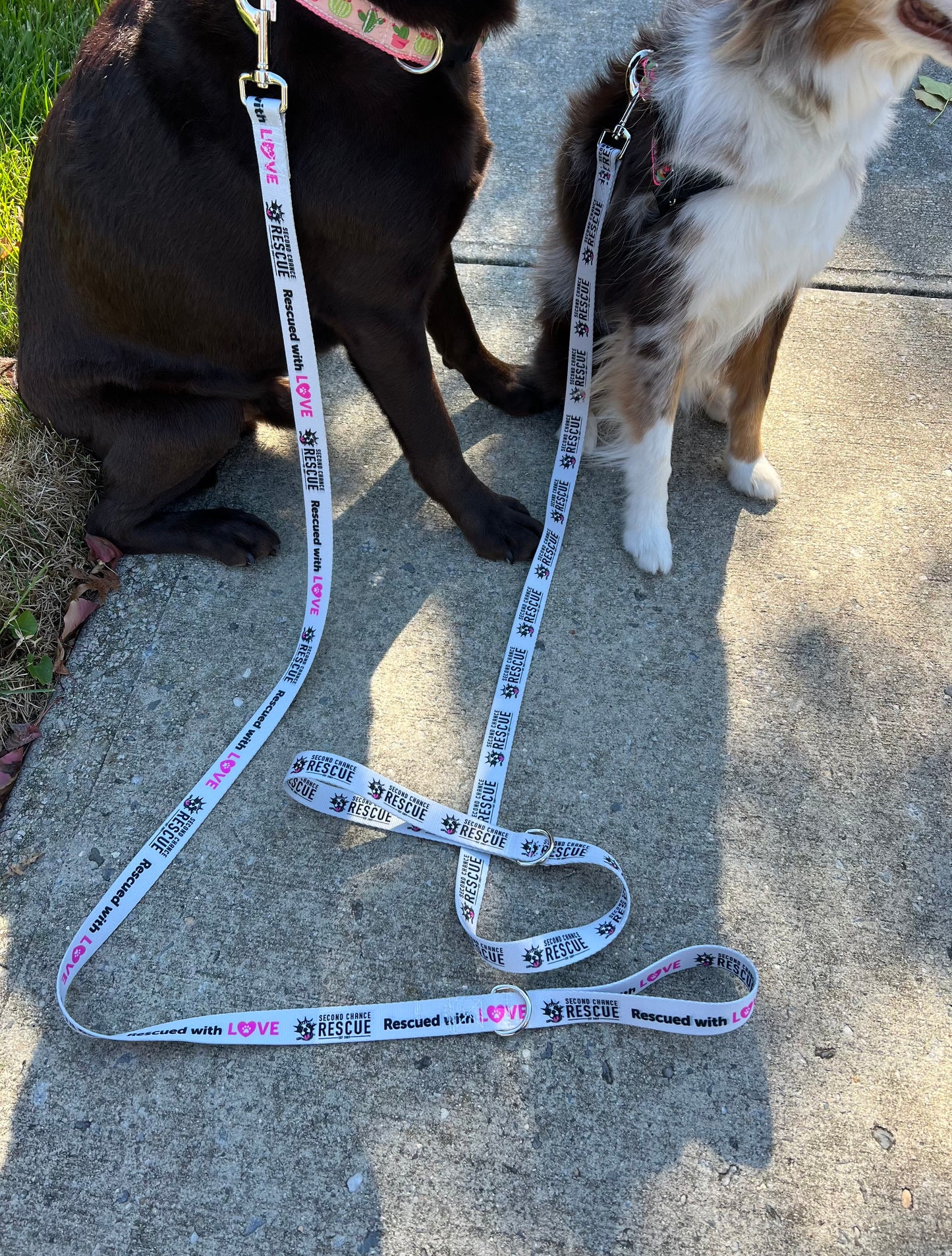 Second Chance Rescue Leash 6ft