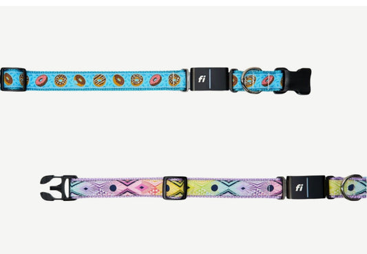 Fi Series 3+ Large collar with GPS tracker and 6 month subscription Free matching leash included