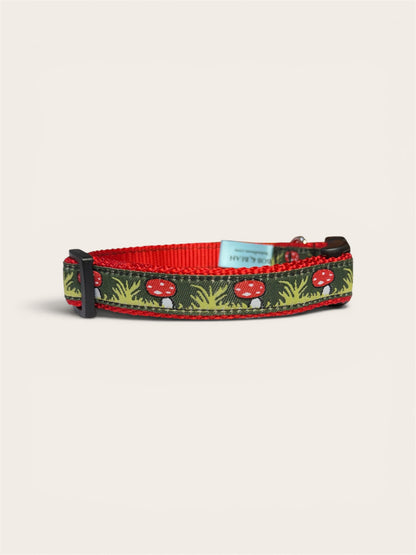 Fi Series 3/3+ Compatible Small & Medium Dog Collar 3/4”