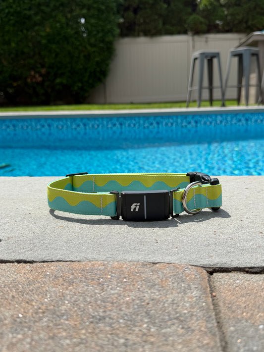 Pre Order Only Wavy Series Fi Series 3+ Large collar with GPS tracker and 6 month subscription