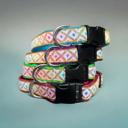 Rainbow Star Gazer L 1” Dog Collar