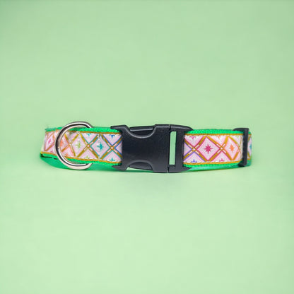 Rainbow Star Gazer L 1” Dog Collar